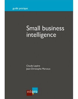 Small business intelligence
