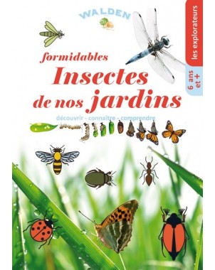 Formidables insectes de nos jardins Belgique