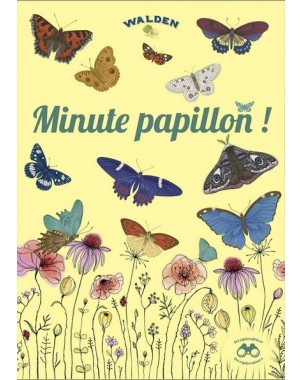 Minute papillon