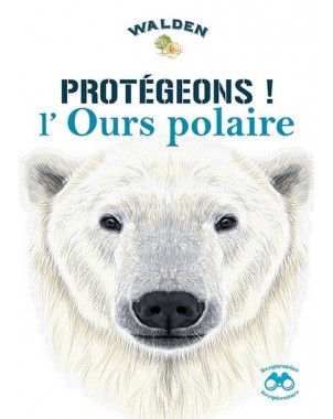 Protégeons l'ours polaire