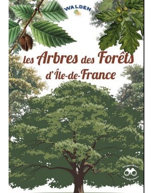 Les arbres des forêts d'île-de-France