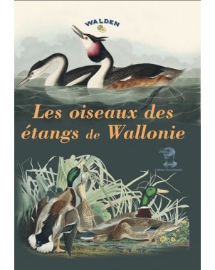 Les oiseaux des étangs de Wallonie