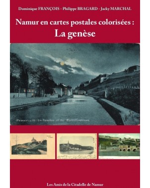 Namur en cartes postales colorisées - Tome 1 : la genèse