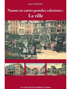 Namur en cartes postales colorisées - Tome 2 : la ville