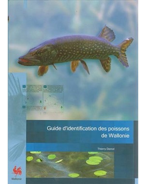 Faune - Flore - Habitats n°06. Guide d'identification des poissons de Wallonie