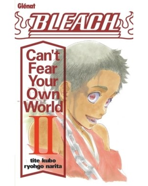 Bleach roman - can't fear your own world Tome 2